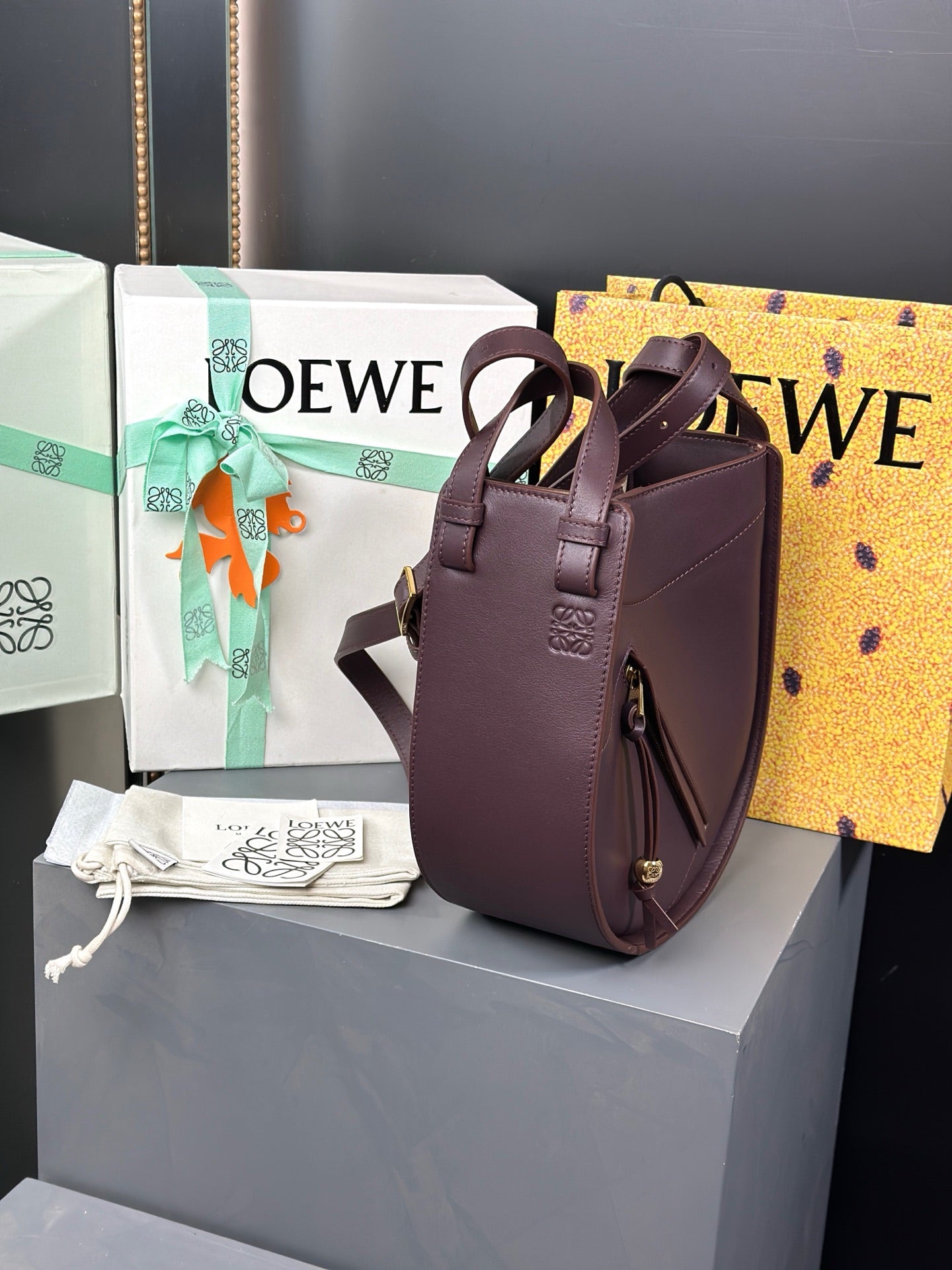 Loewe Hammock Slice bag