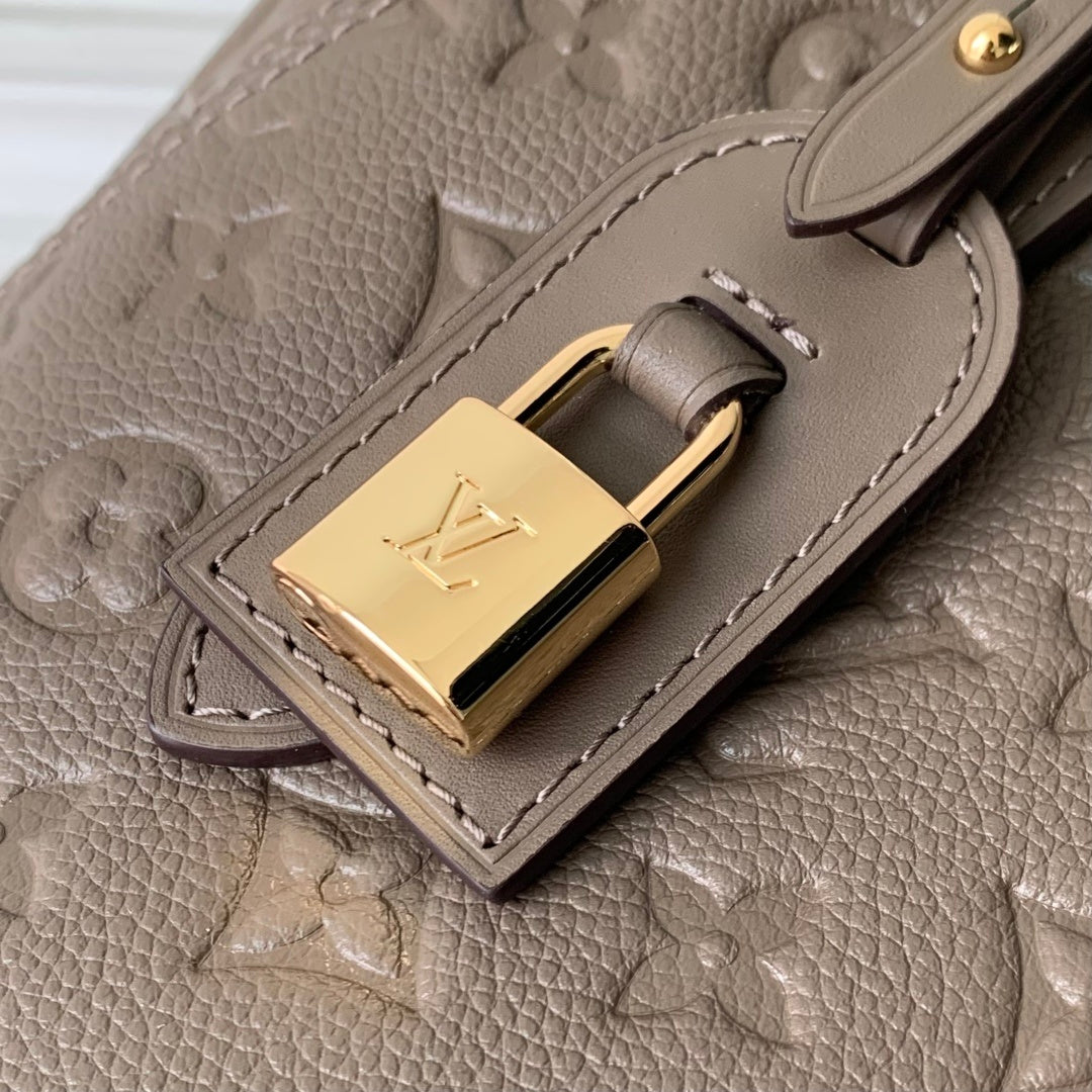 Louis Vuitton All In One PM