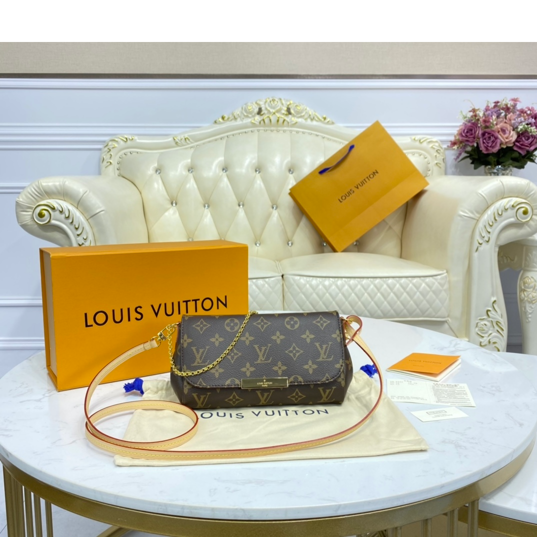 A Review of Louis Vuitton Favorite Monogram Bag