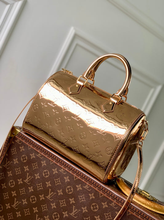 Louis Vuitton Speedy Bandoulière 25 Ski collection