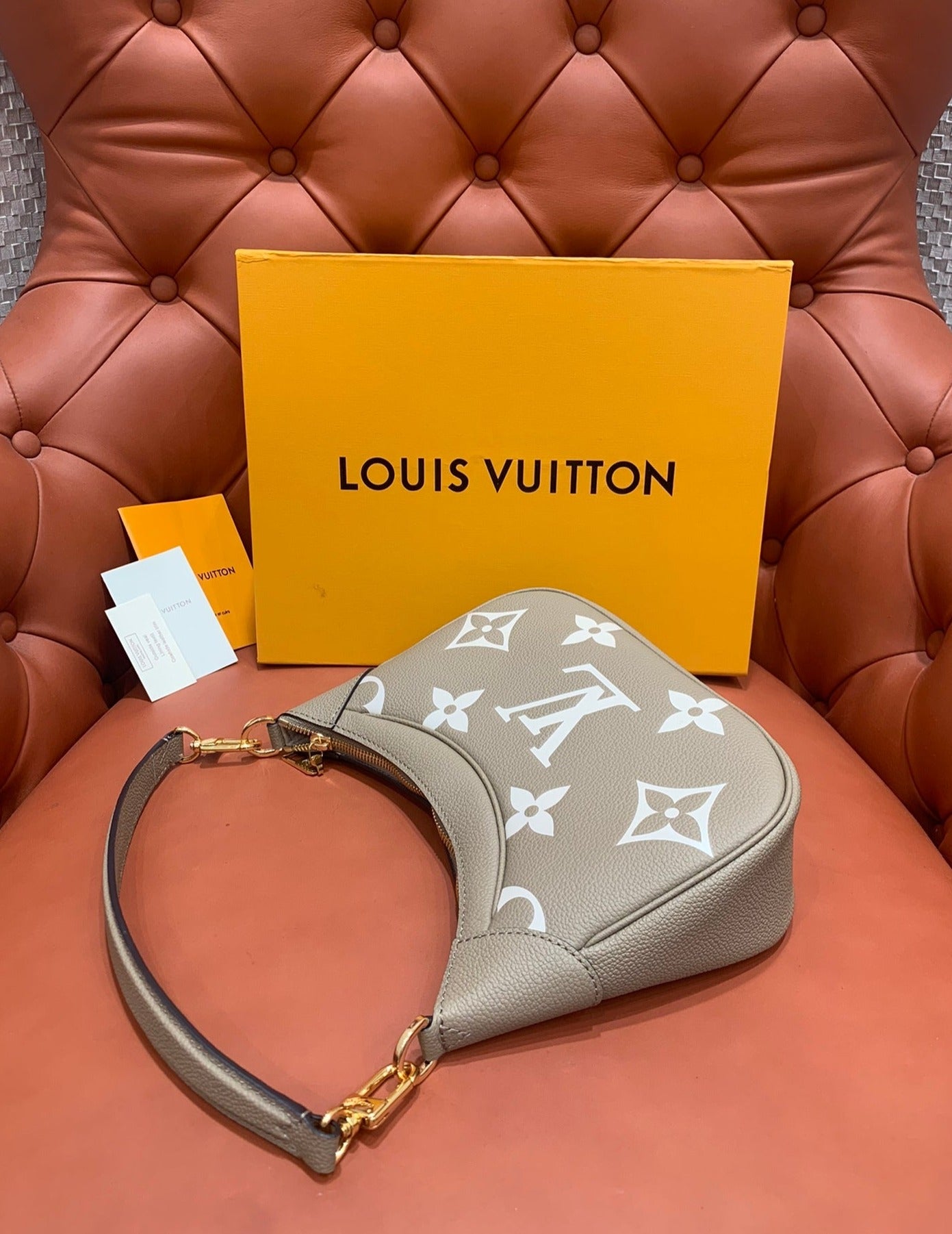 Louis Vuitton Bagatelle Bag