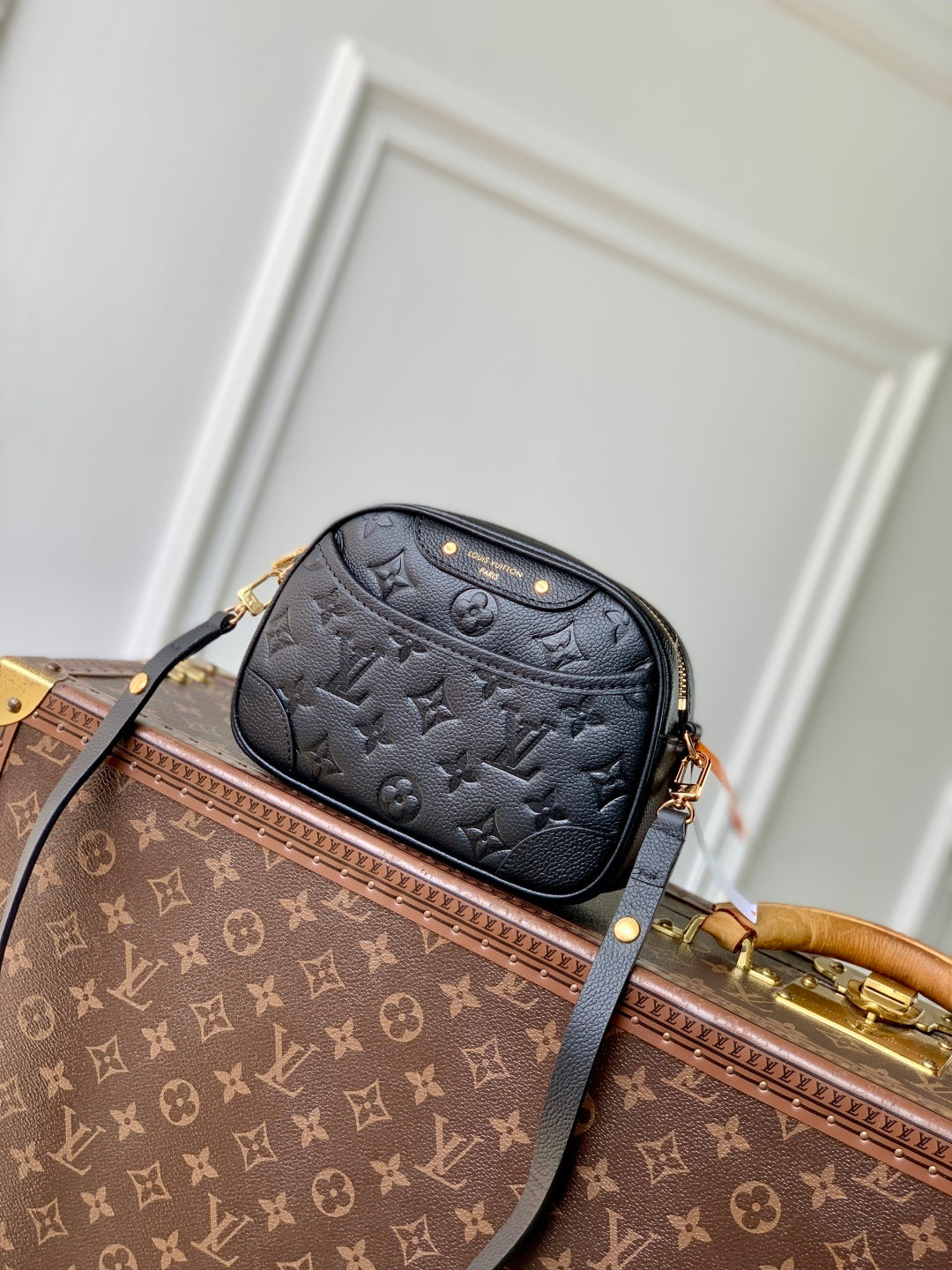 Louis Vuitton Tiny Camera Bag