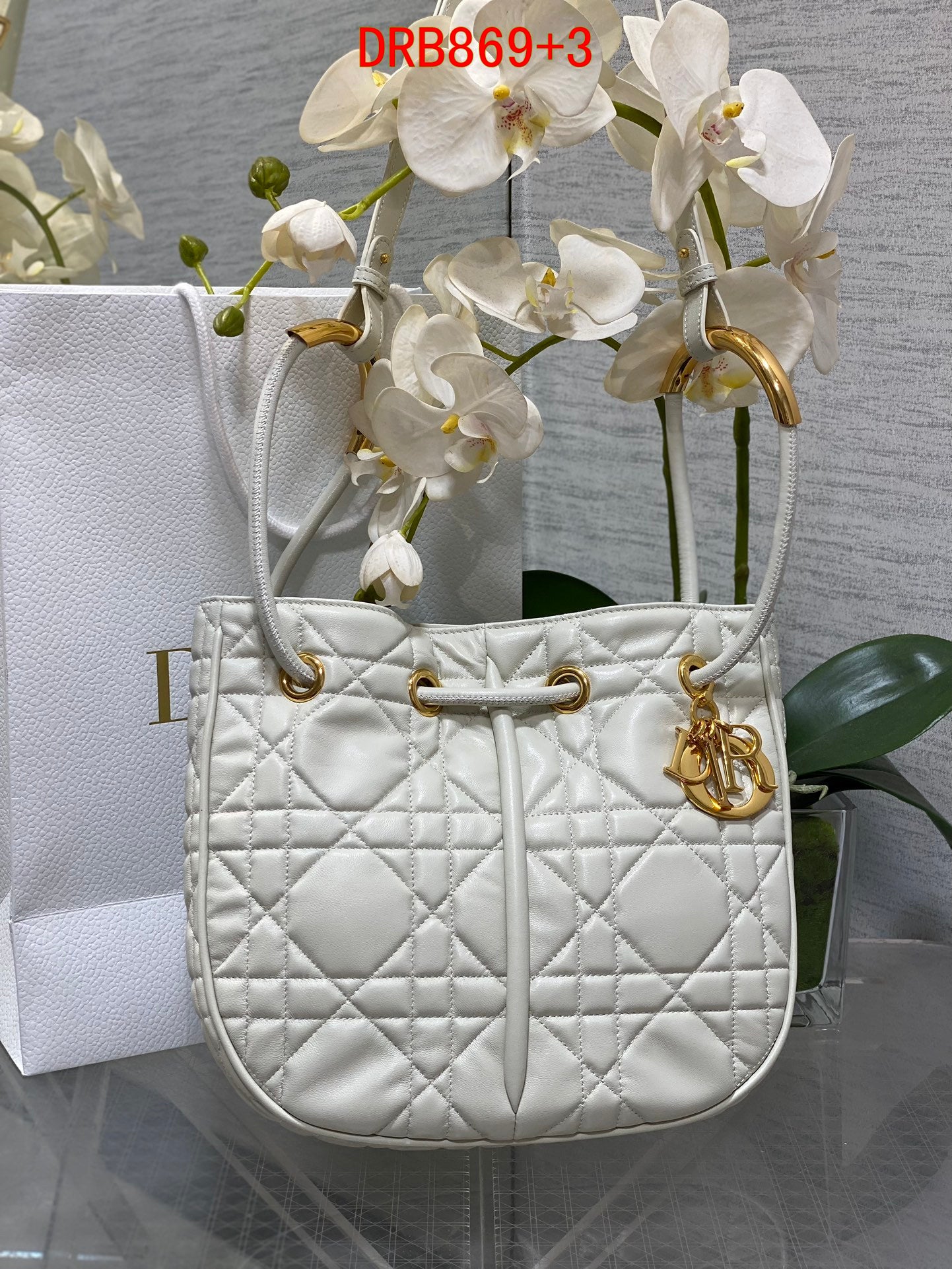 Dior Medium Nolita bag