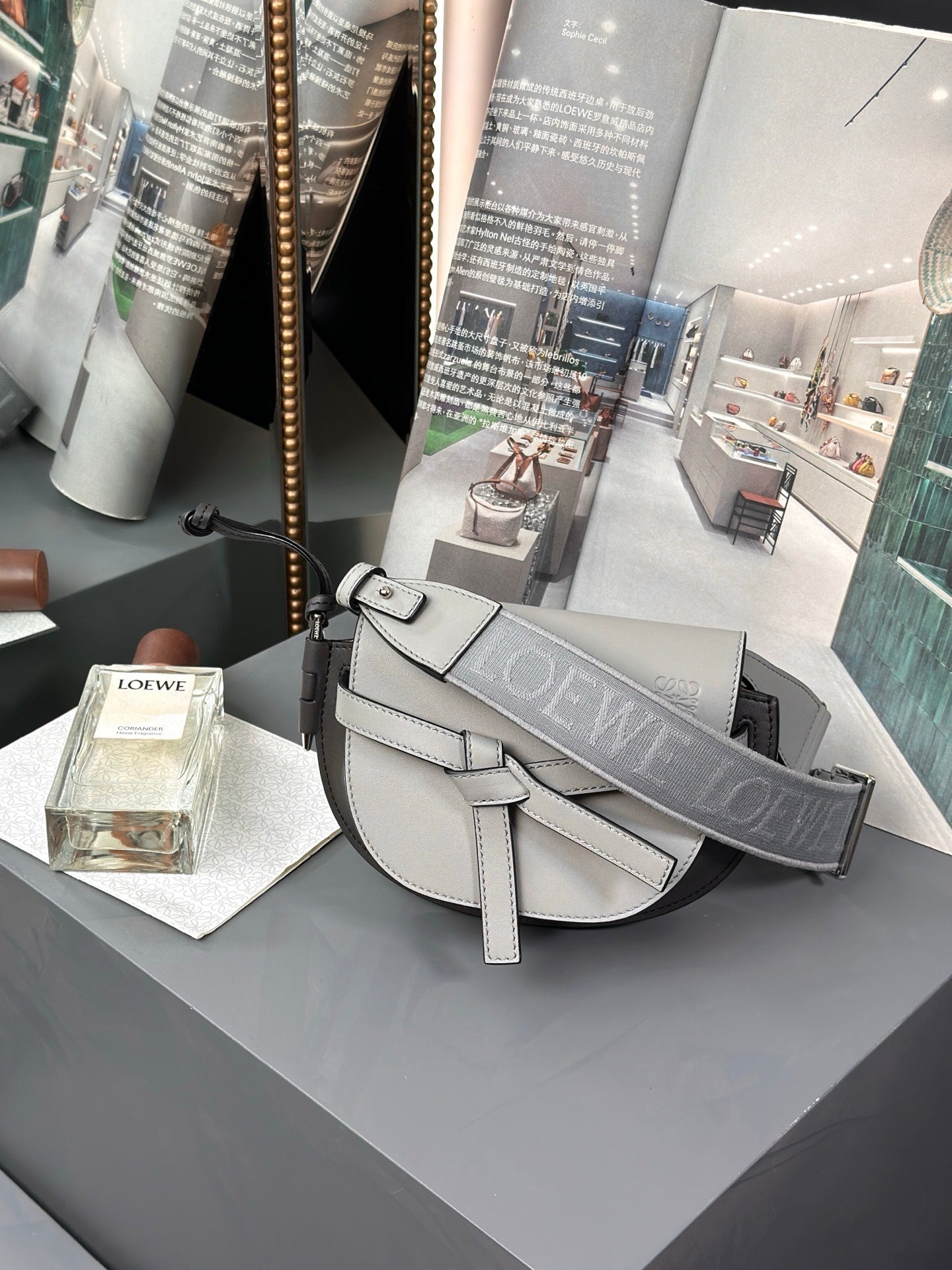 Loewe Mini Gate Dual bag