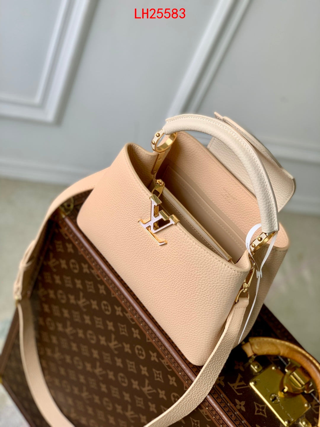 Louis Vuitton Capucines PM Daydream animation