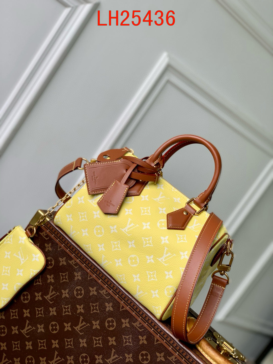 Louis Vuitton Speedy P9 Bandoulière 30 and 25