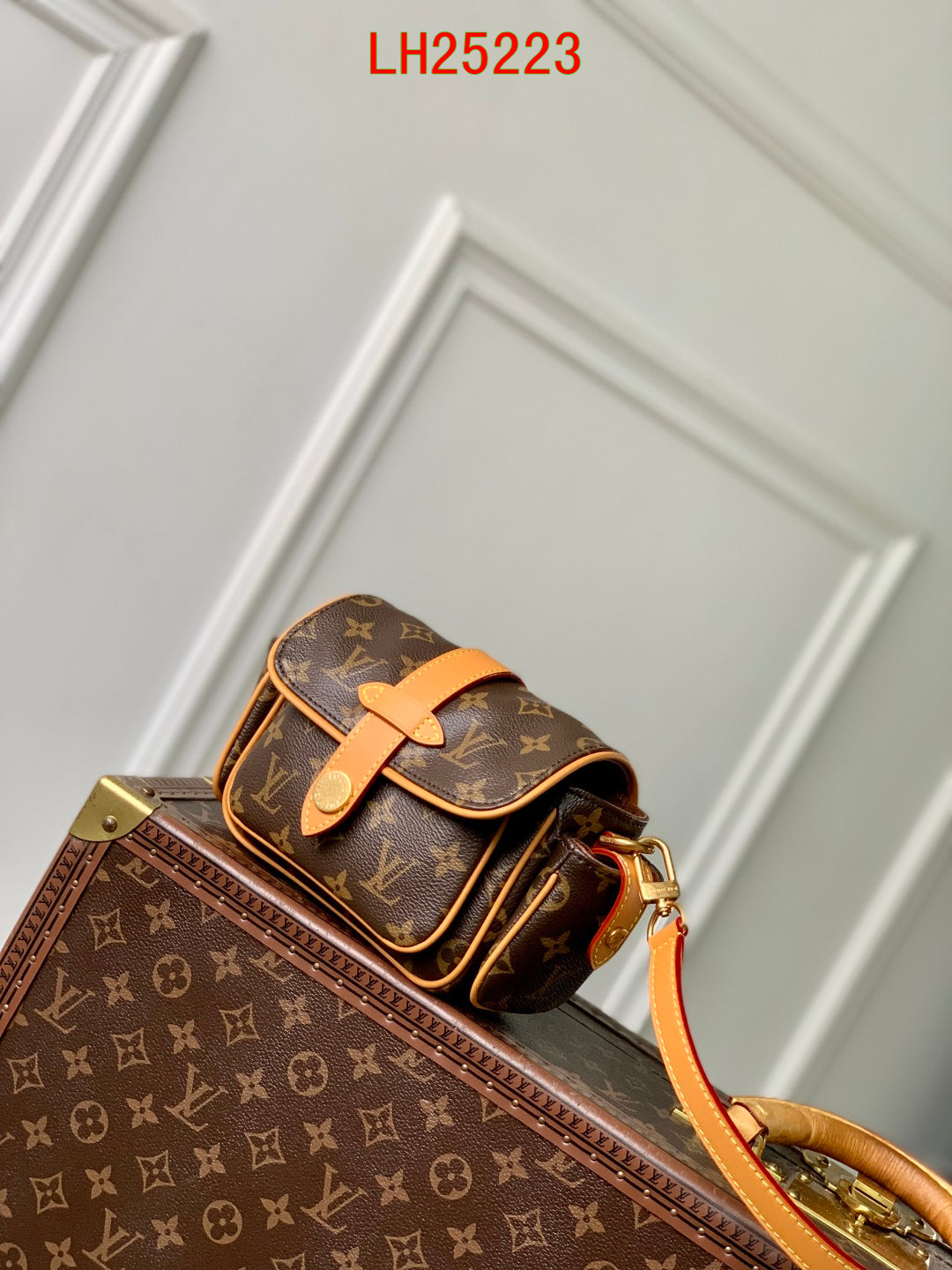 Louis Vuitton Cargo Wearable Wallet