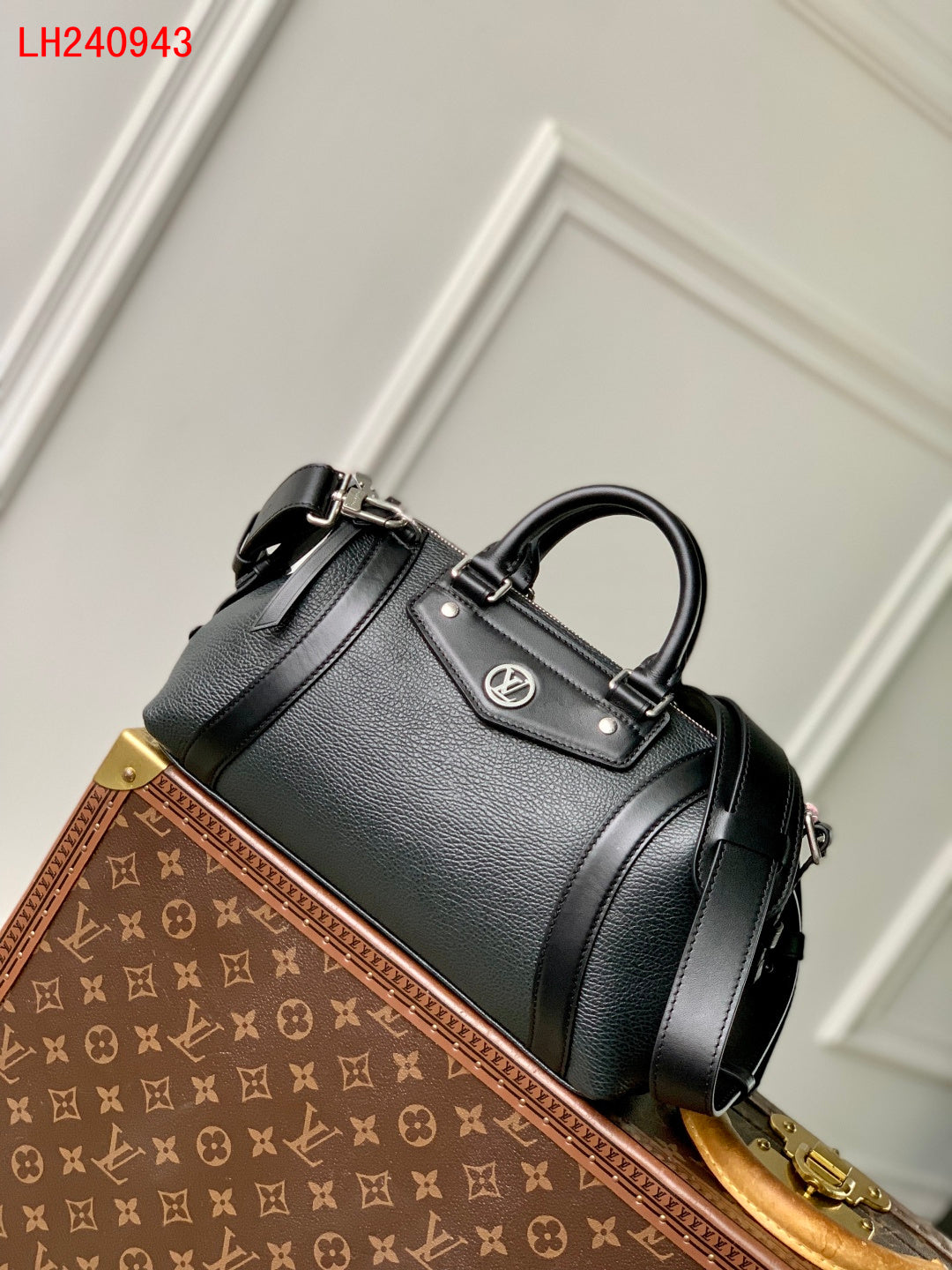 Louis Vuitton Biker PM 2025 New collection
