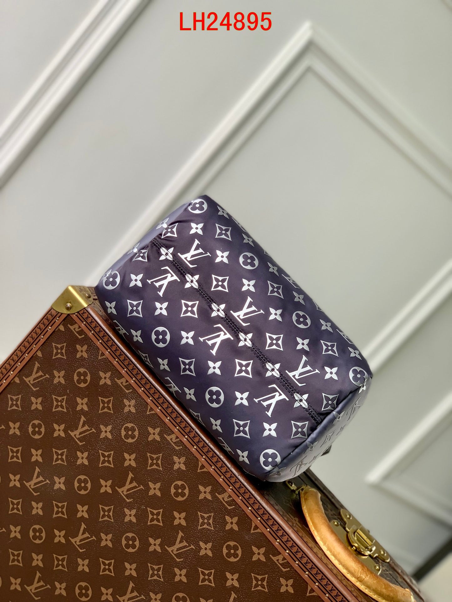 Louis Vuitton Speedy Bandoulière 25 Snow Collection