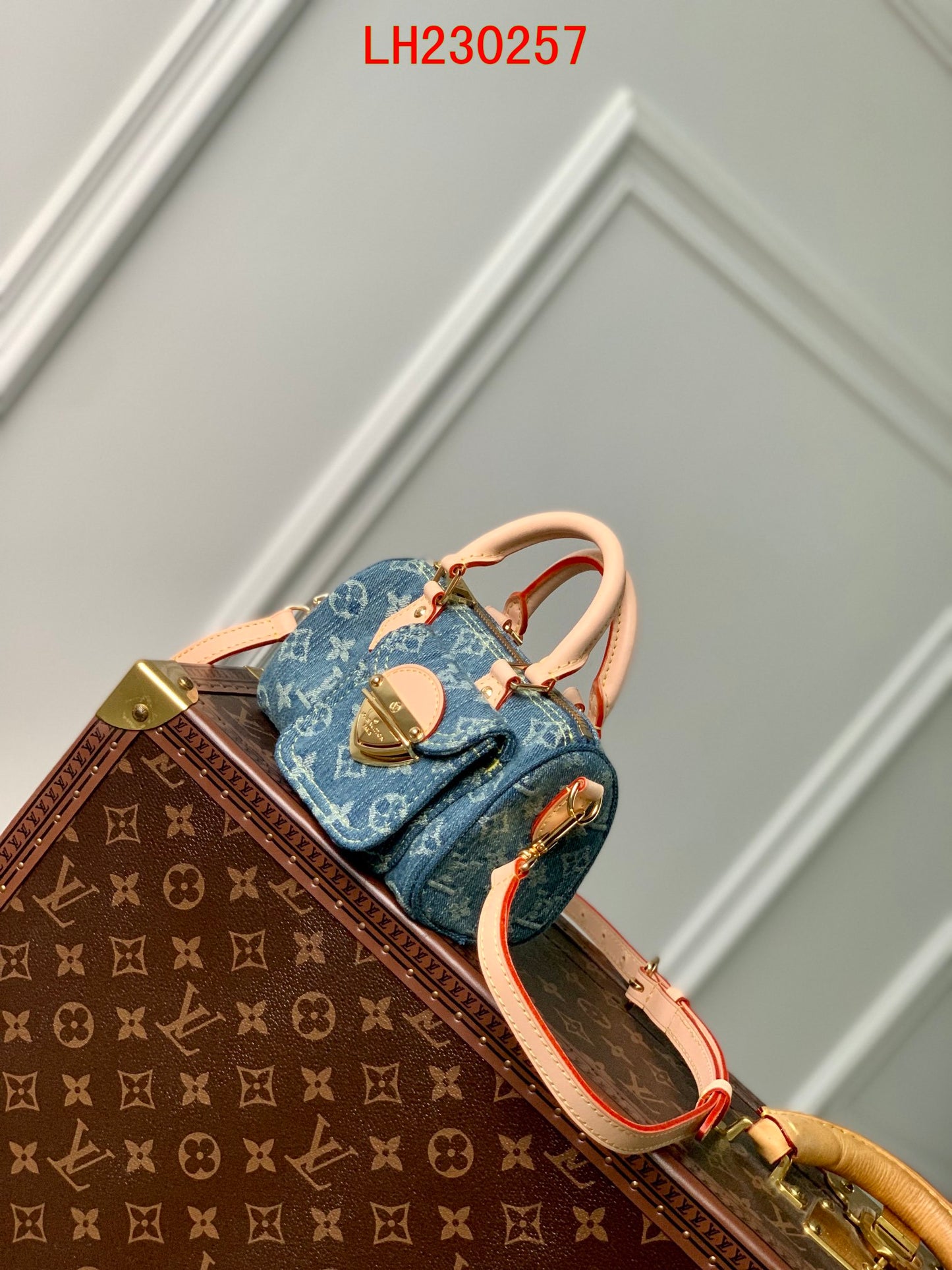 Louis Vuitton Nano Speedy Monogram Denim