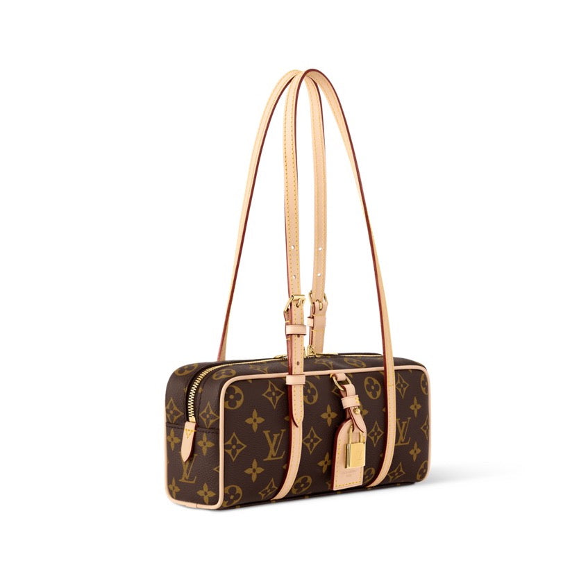 Louis Vuitton Hang On Monogram bag