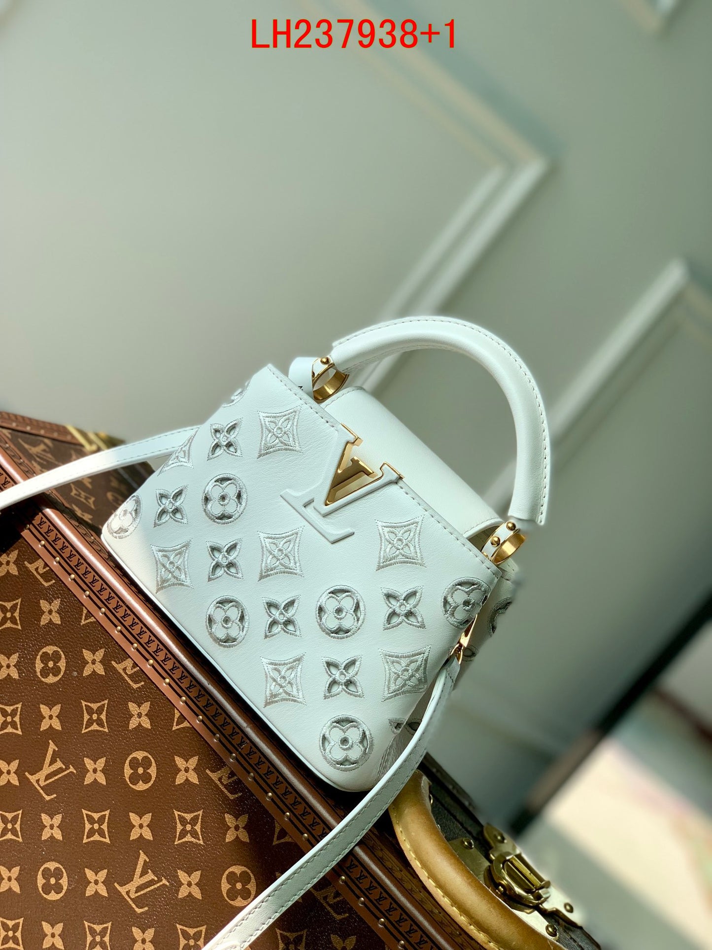 Louis Vuitton Capucines