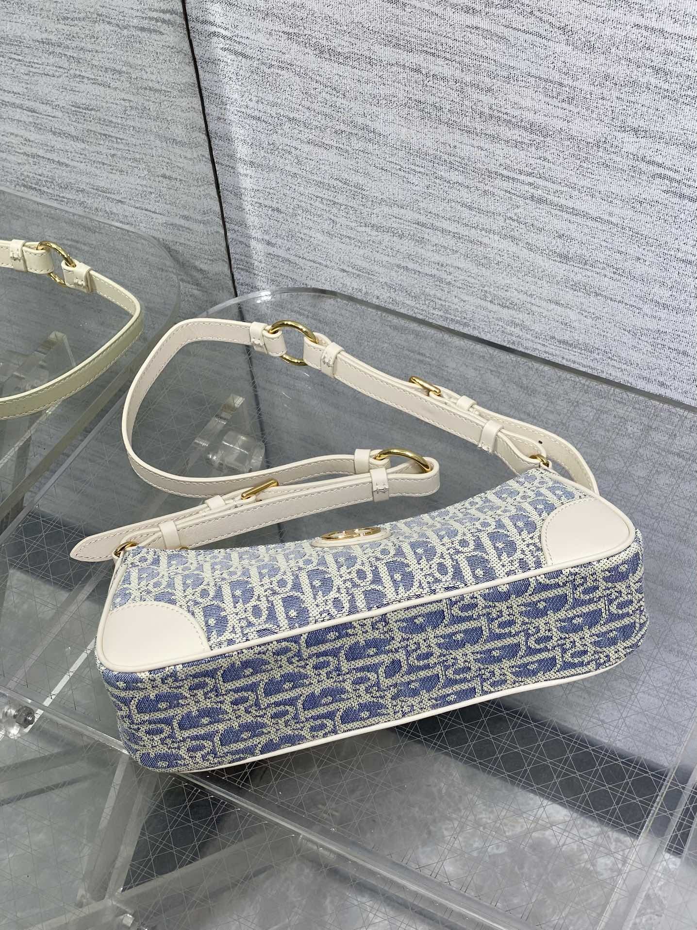 Dior Montaige 30 Wanderlust bag