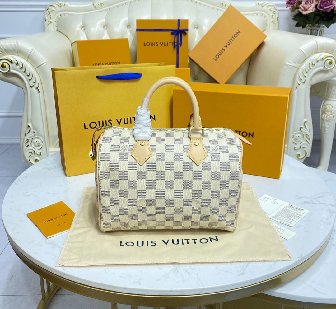 Louis Vuitton Speedy bag all sizes