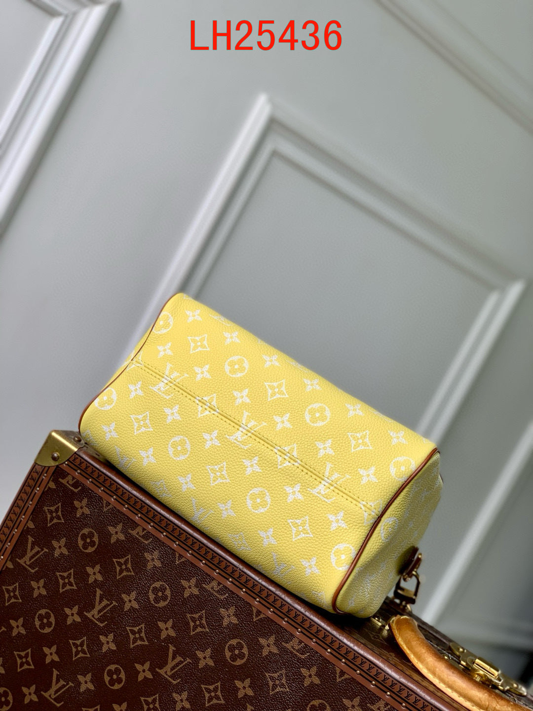 Louis Vuitton Speedy P9 Bandoulière 30 and 25