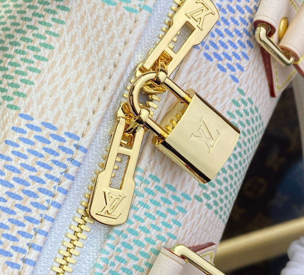 Louis Vuitton Speedy 20