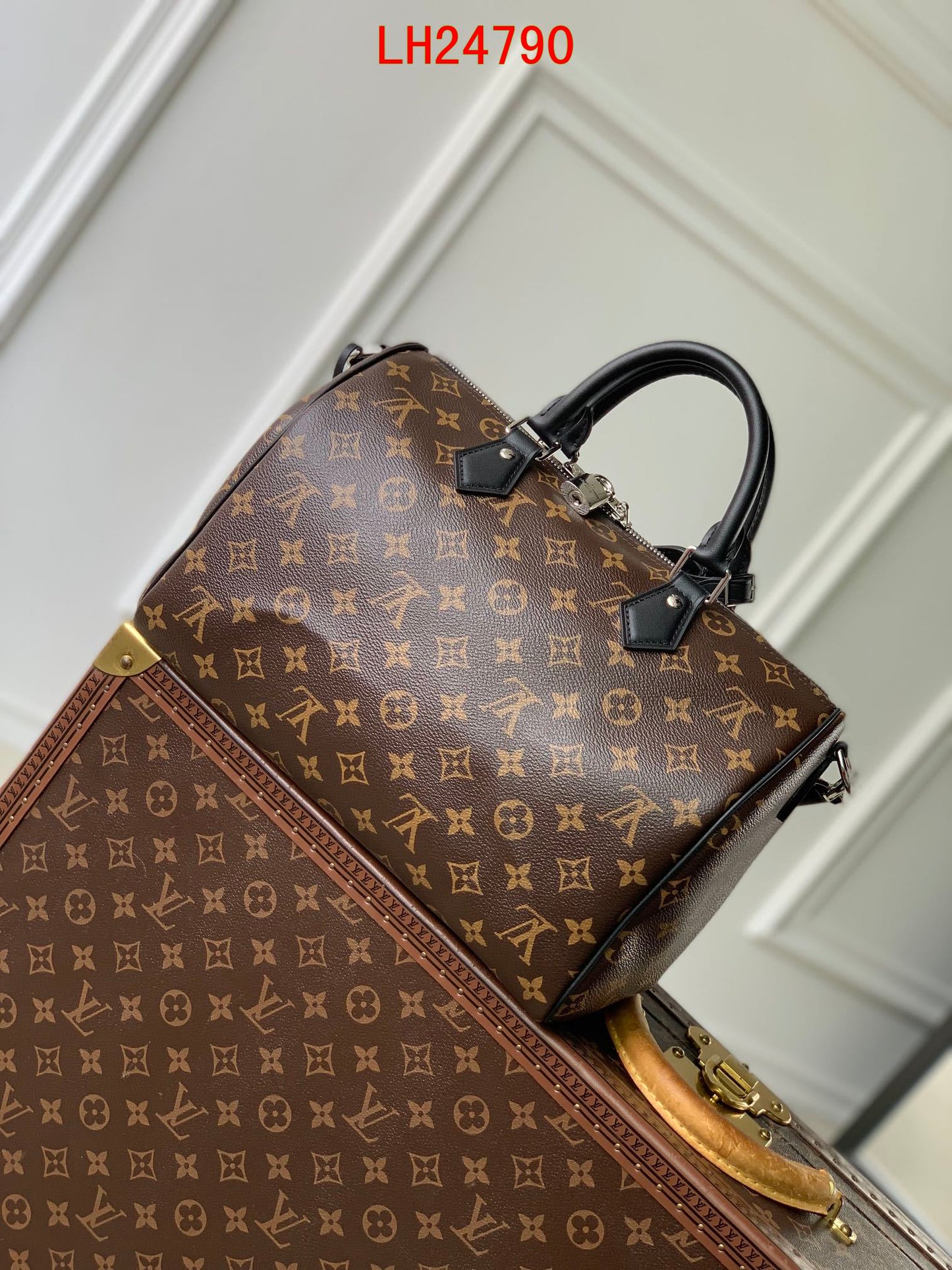 Louis Vuitton Speedy Soft 30 Dark