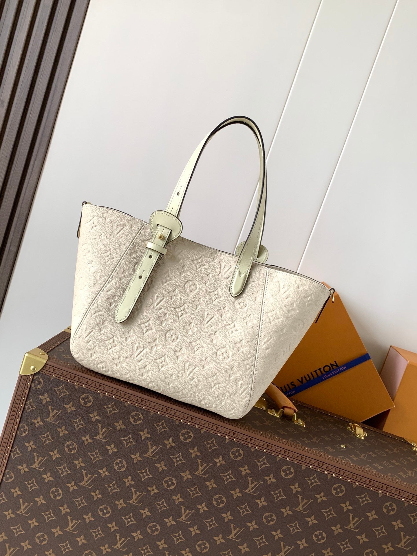 Louis Vuitton All in one PM
