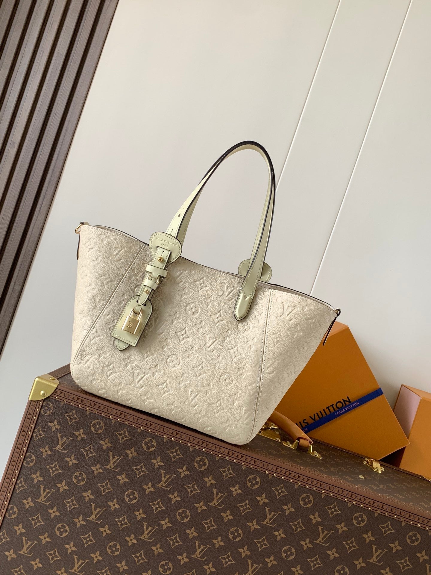Louis Vuitton All in one PM