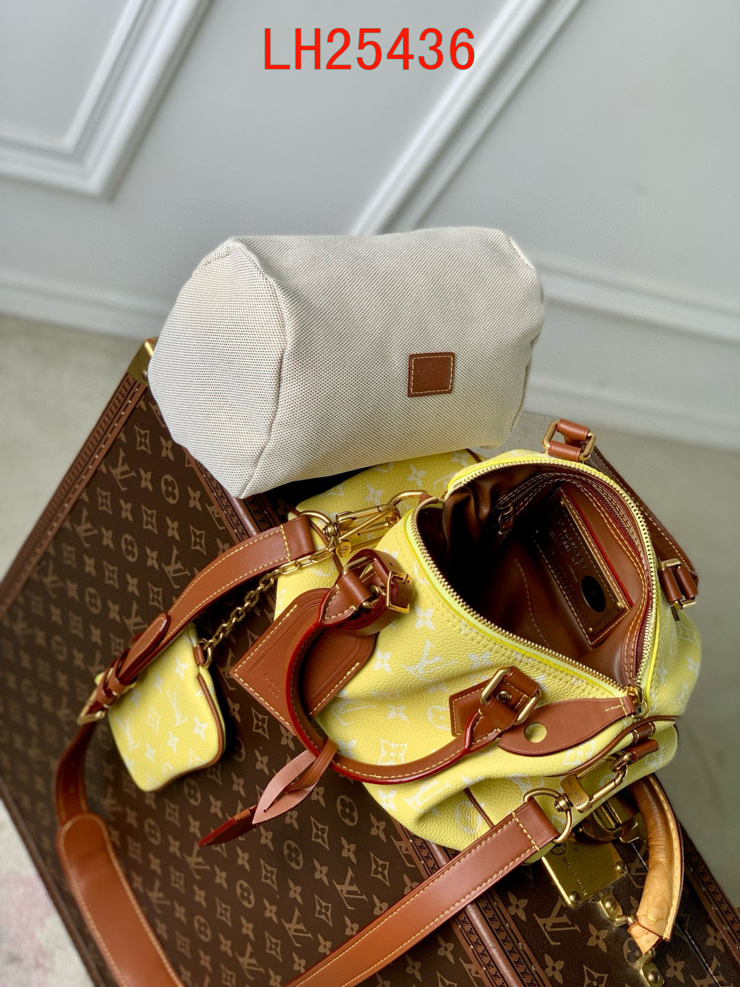 Louis Vuitton Speedy P9 Bandoulière 30 and 25