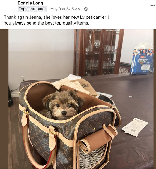 A Review of Louis Vuitton Pet Dog Box