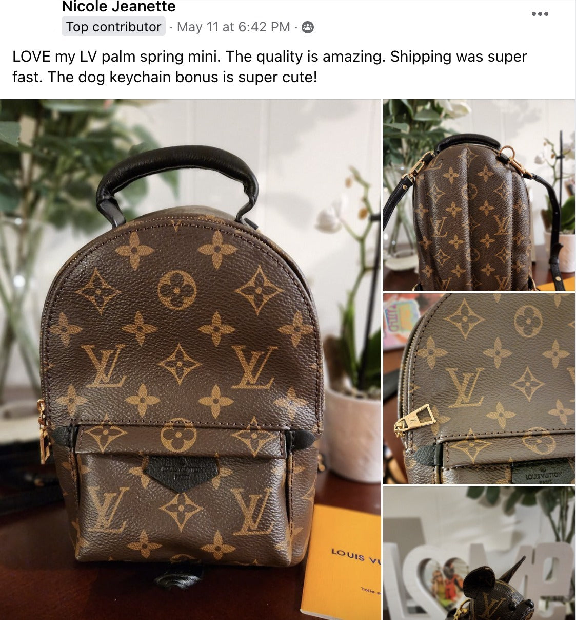 A Review of Louis Vuitton Palm Springs mini backpack