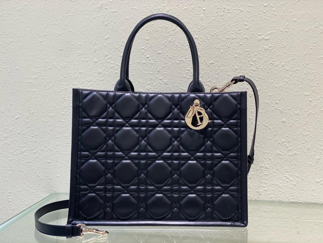 Christian Dior Book Tote medium