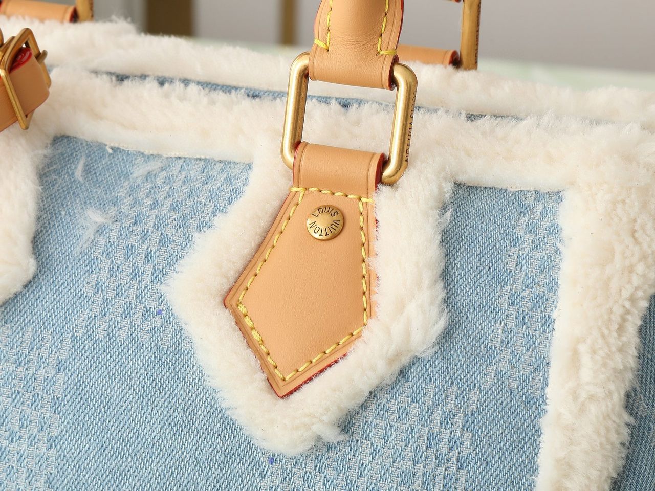 Louis Vuitton Speedy 25 Bandoulière Ski Collection