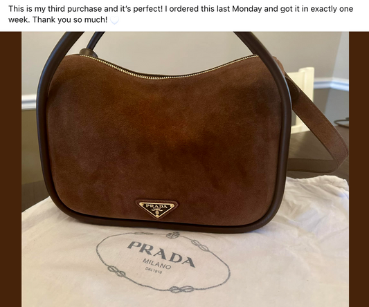 A review of a Prada Suede bag