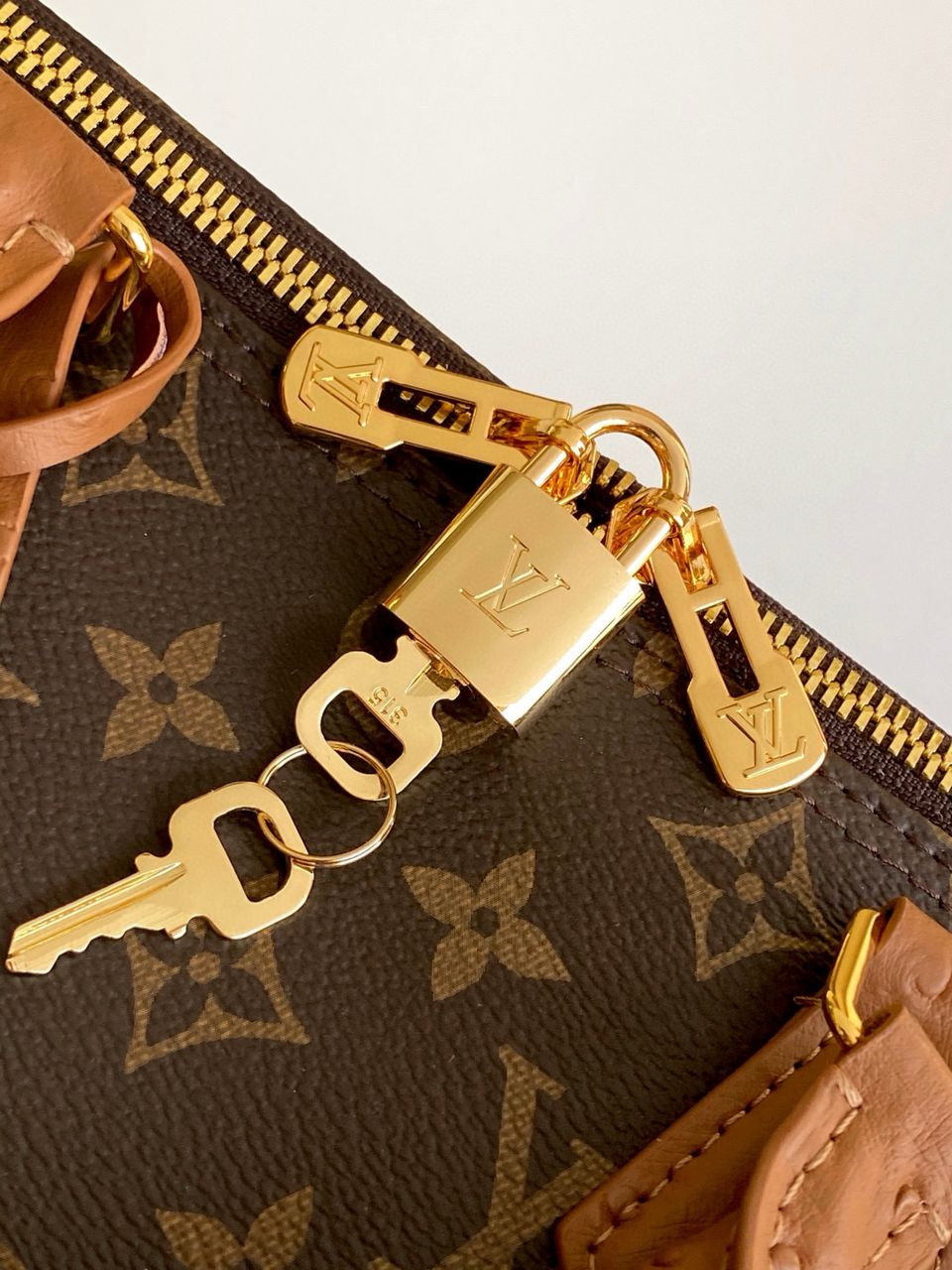 Louis Vuitton Speedy Soft 30 Boho