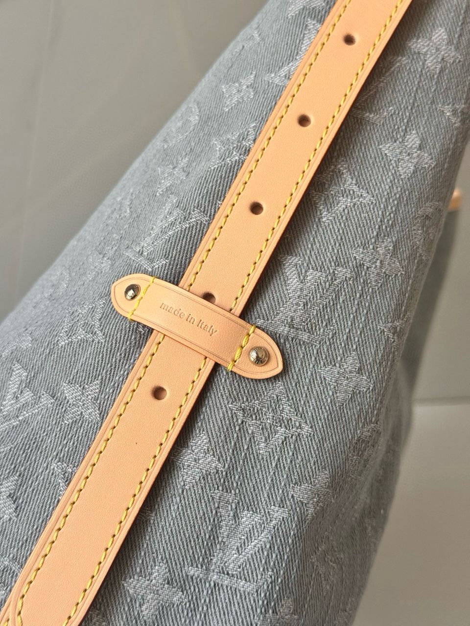 Louis Vuitton CarryAll MM Denim bag