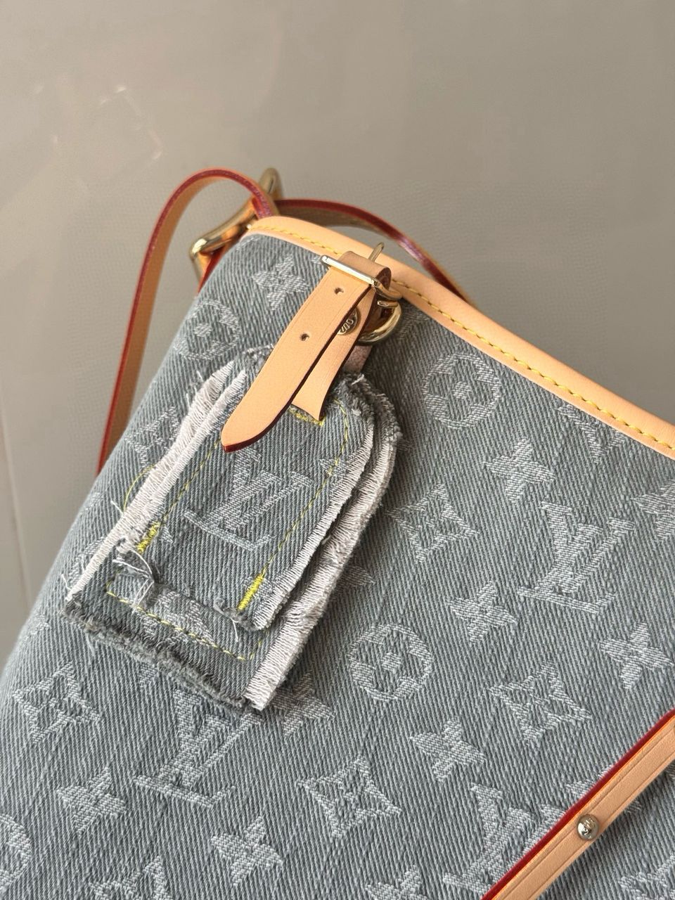 Louis Vuitton CarryAll MM Denim bag