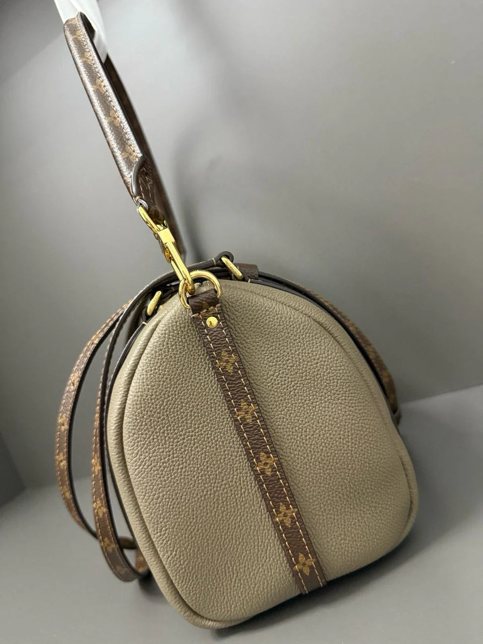 Louis Vuitton Express PM bag