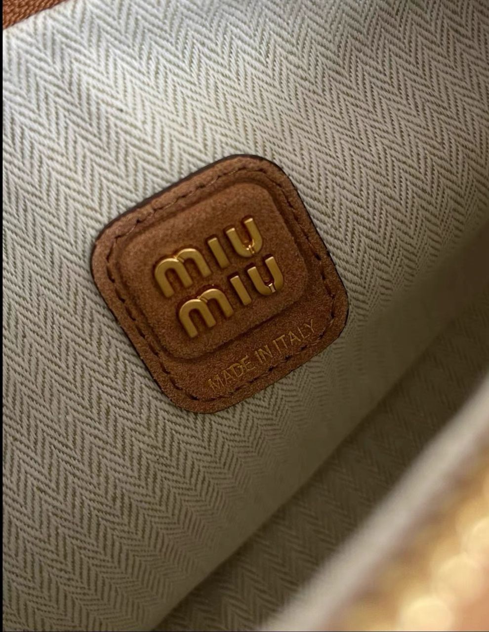 Miu Miu Wander Suede braided bag