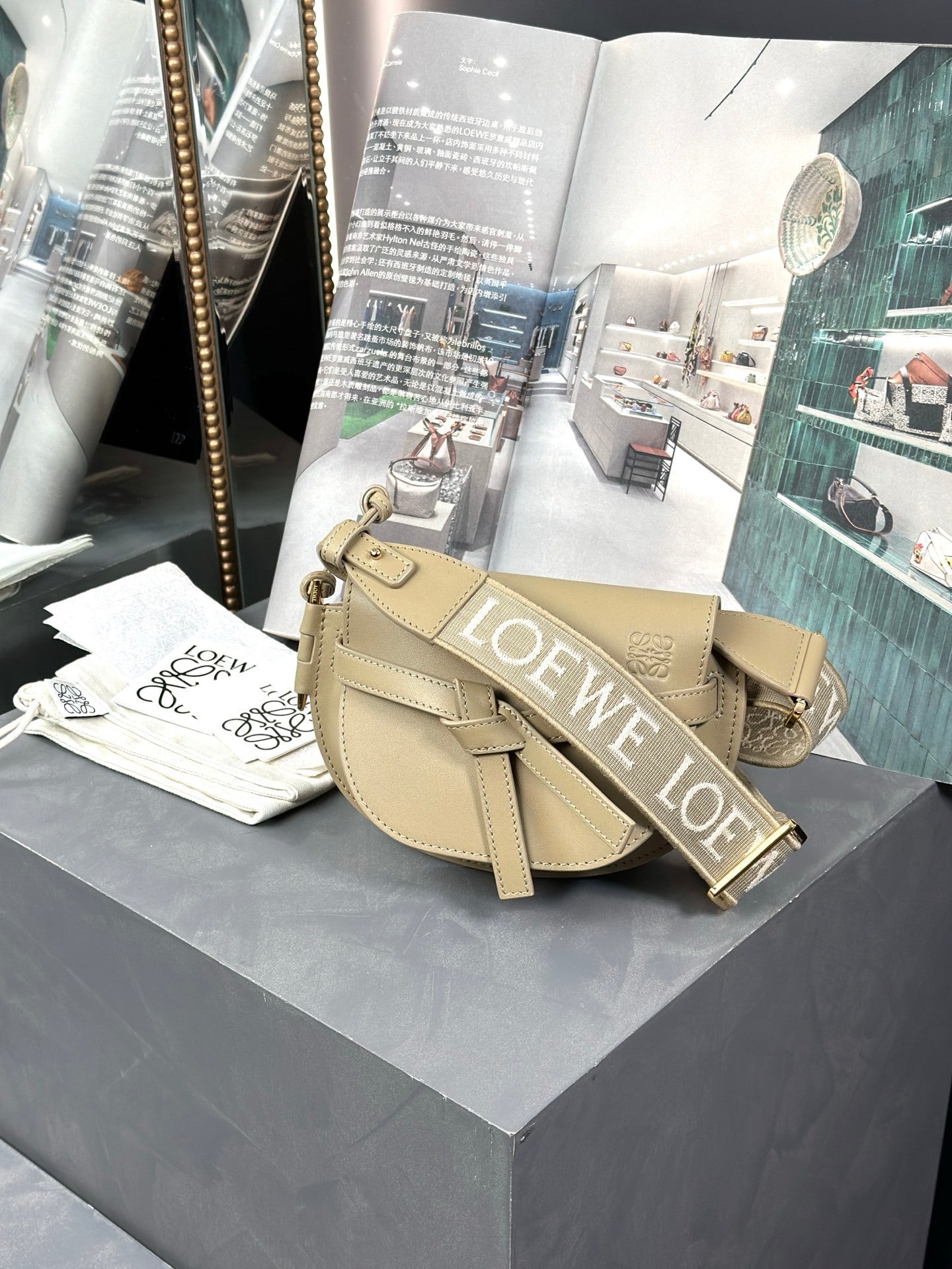 Loewe Mini Gate Dual bag