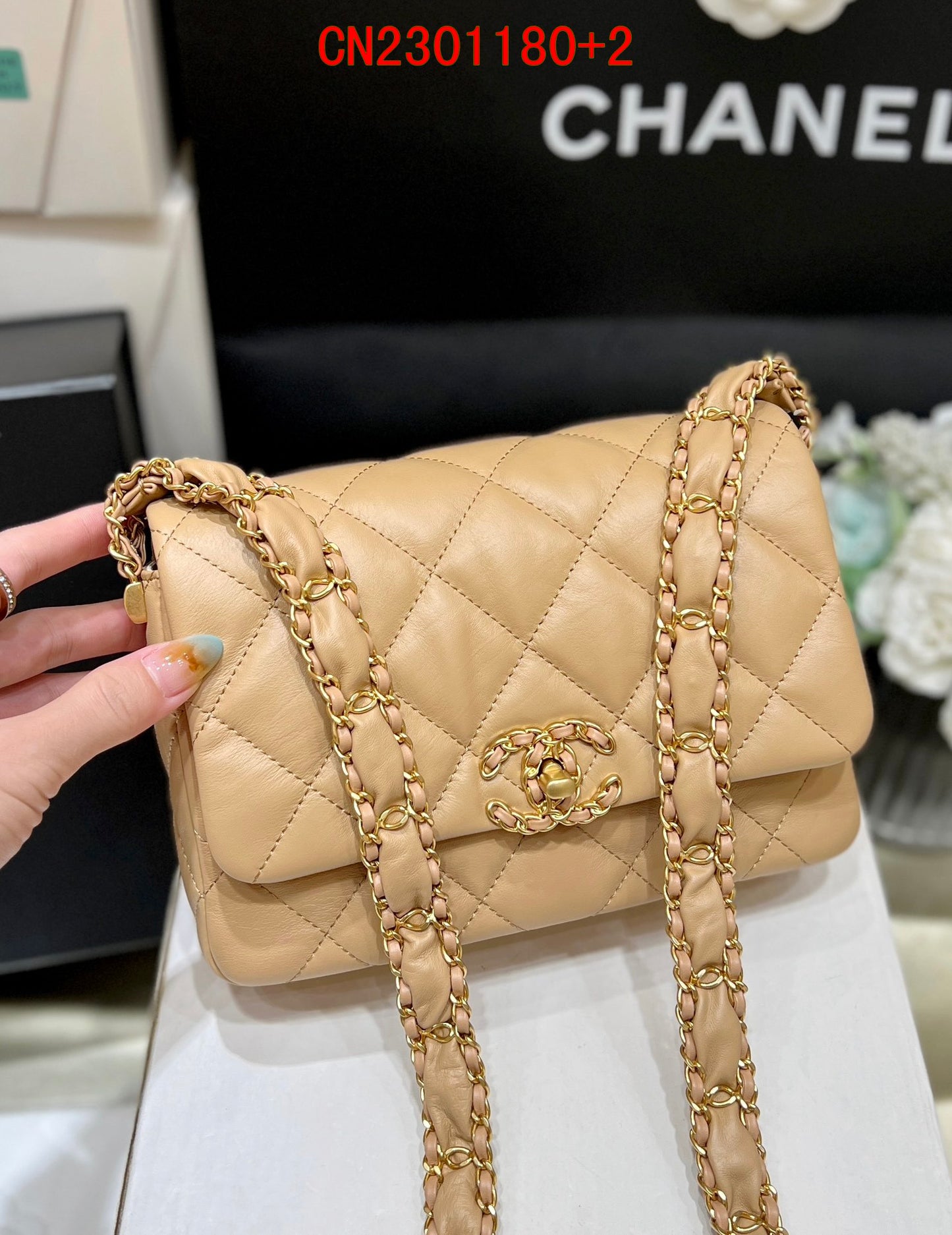 Chanel Chain 19 Bag