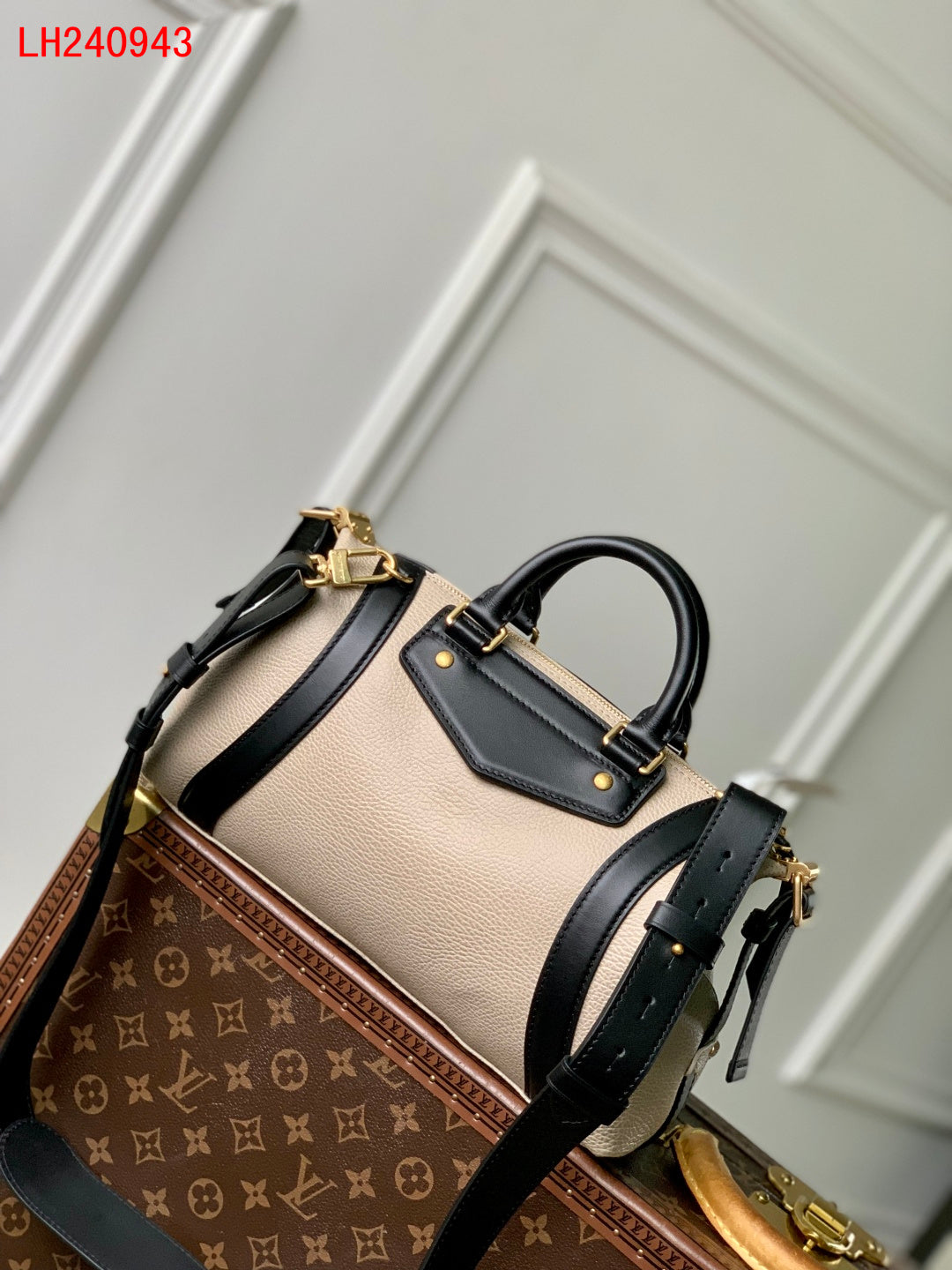 Louis Vuitton Biker PM 2025 New collection
