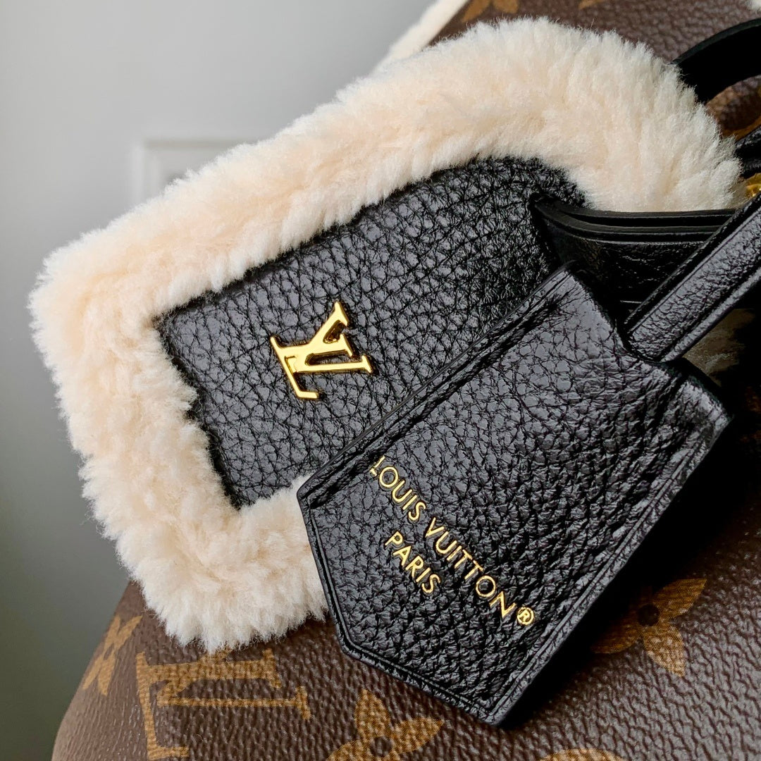 Louis Vuitton Speedy Soft 30 Teddy