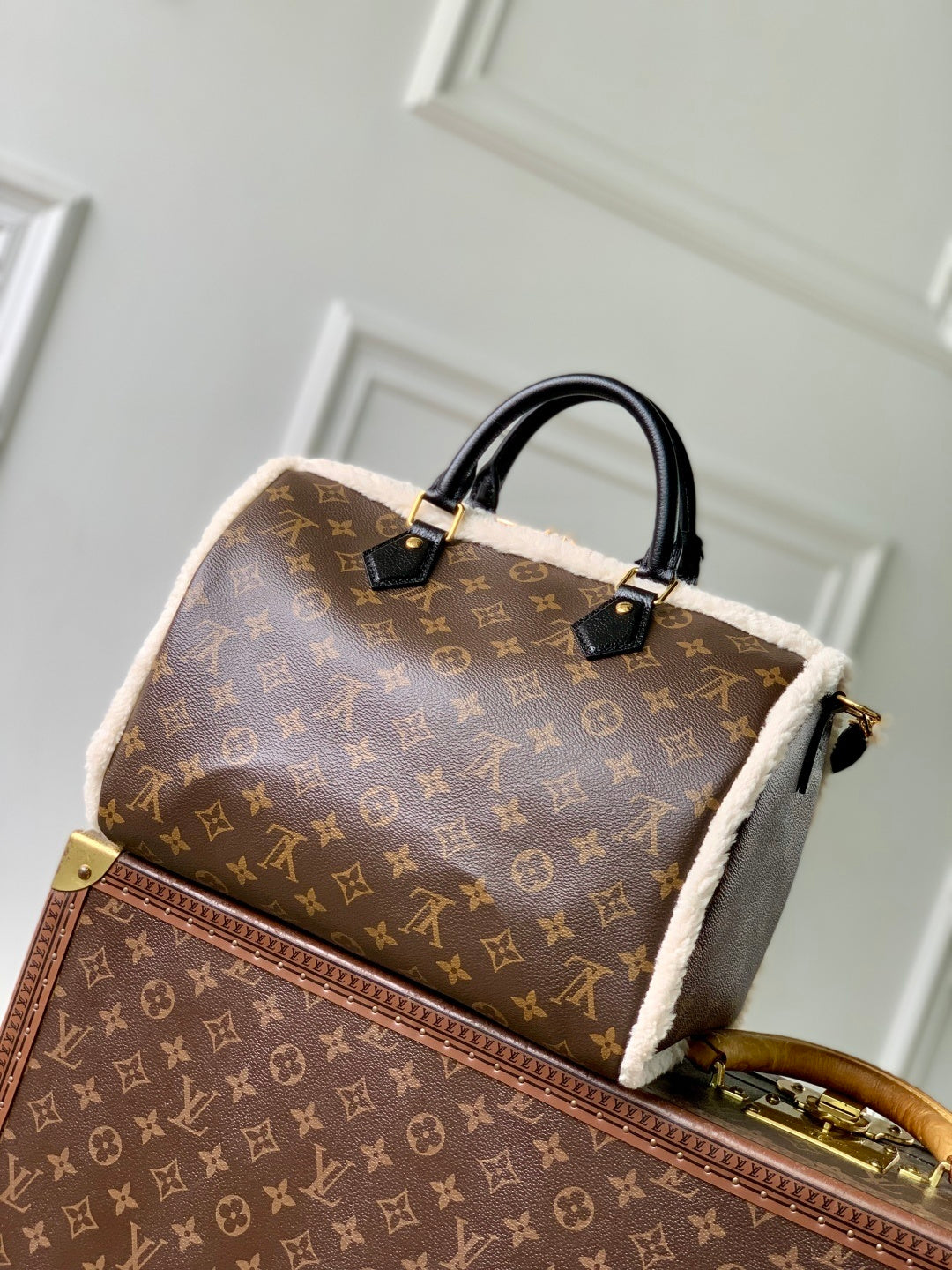 Louis Vuitton Speedy Soft 30 Teddy