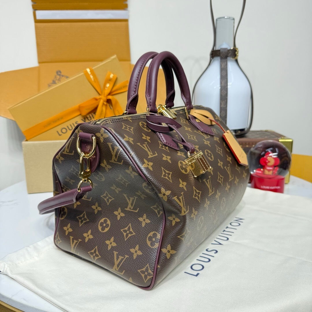 Louis Vuitton Speedy 30 Soft Celebratuin