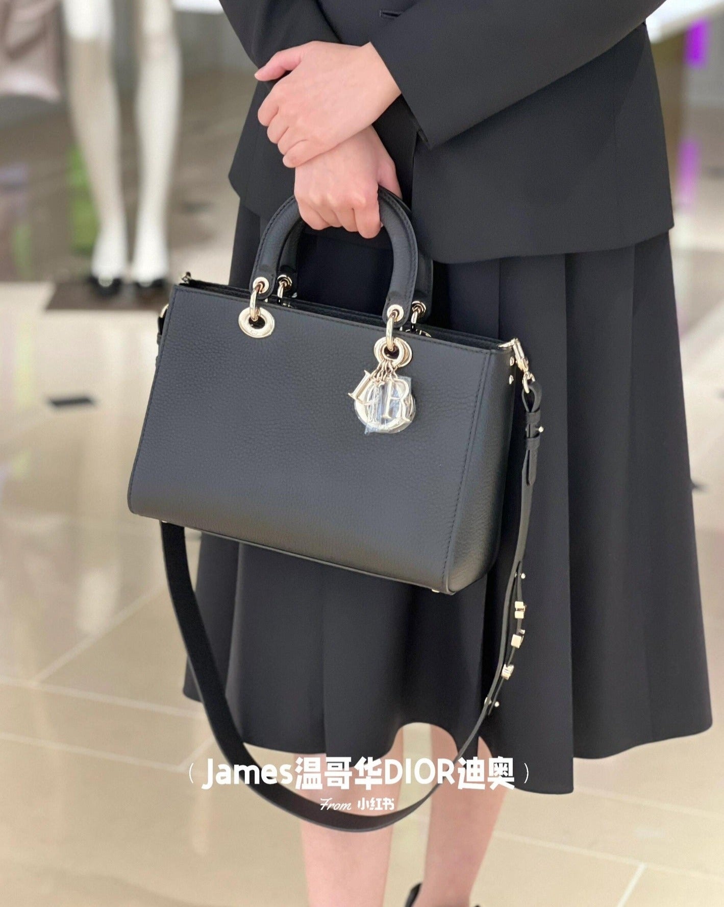 Dior D-Sire Tote bag