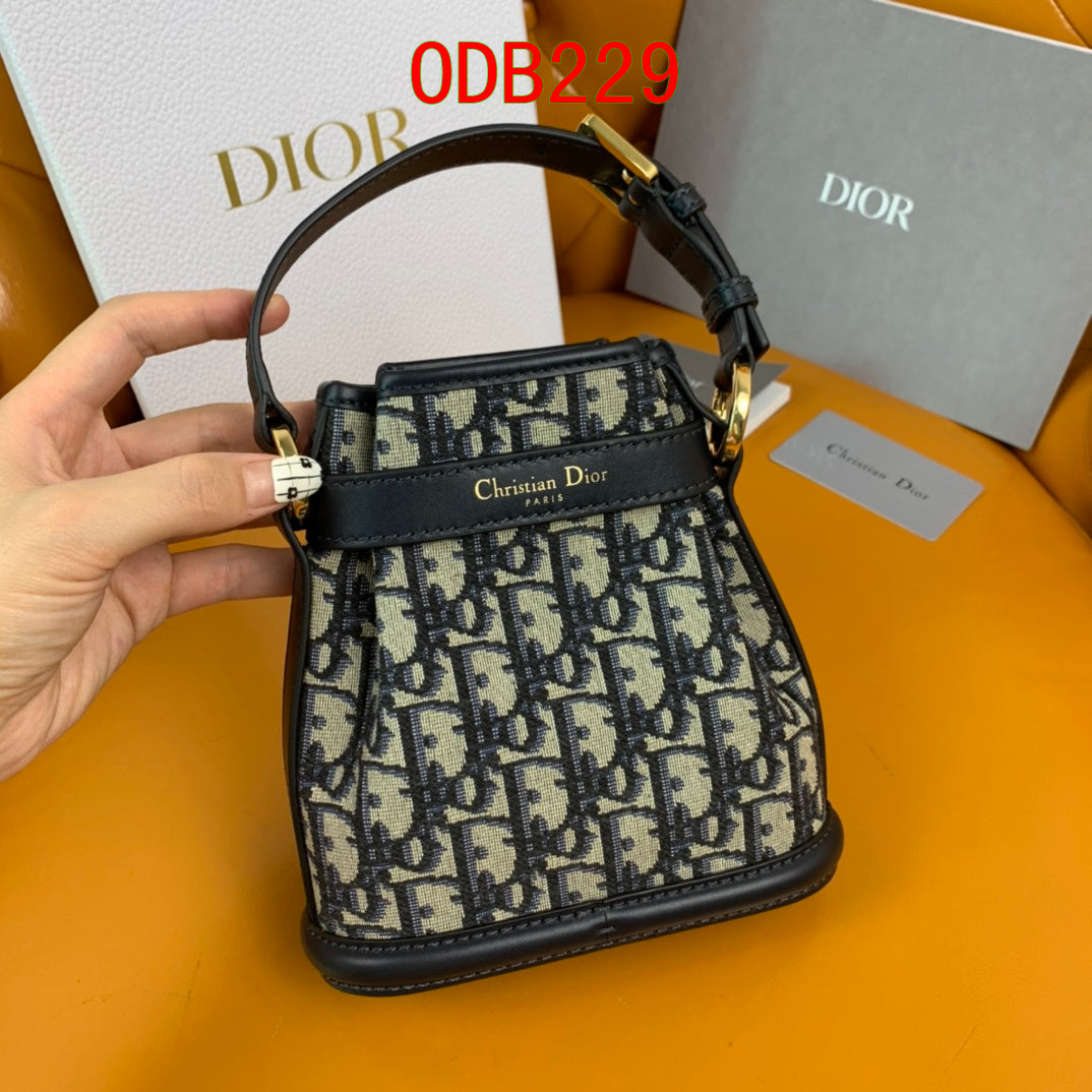 Dior C'est Bag