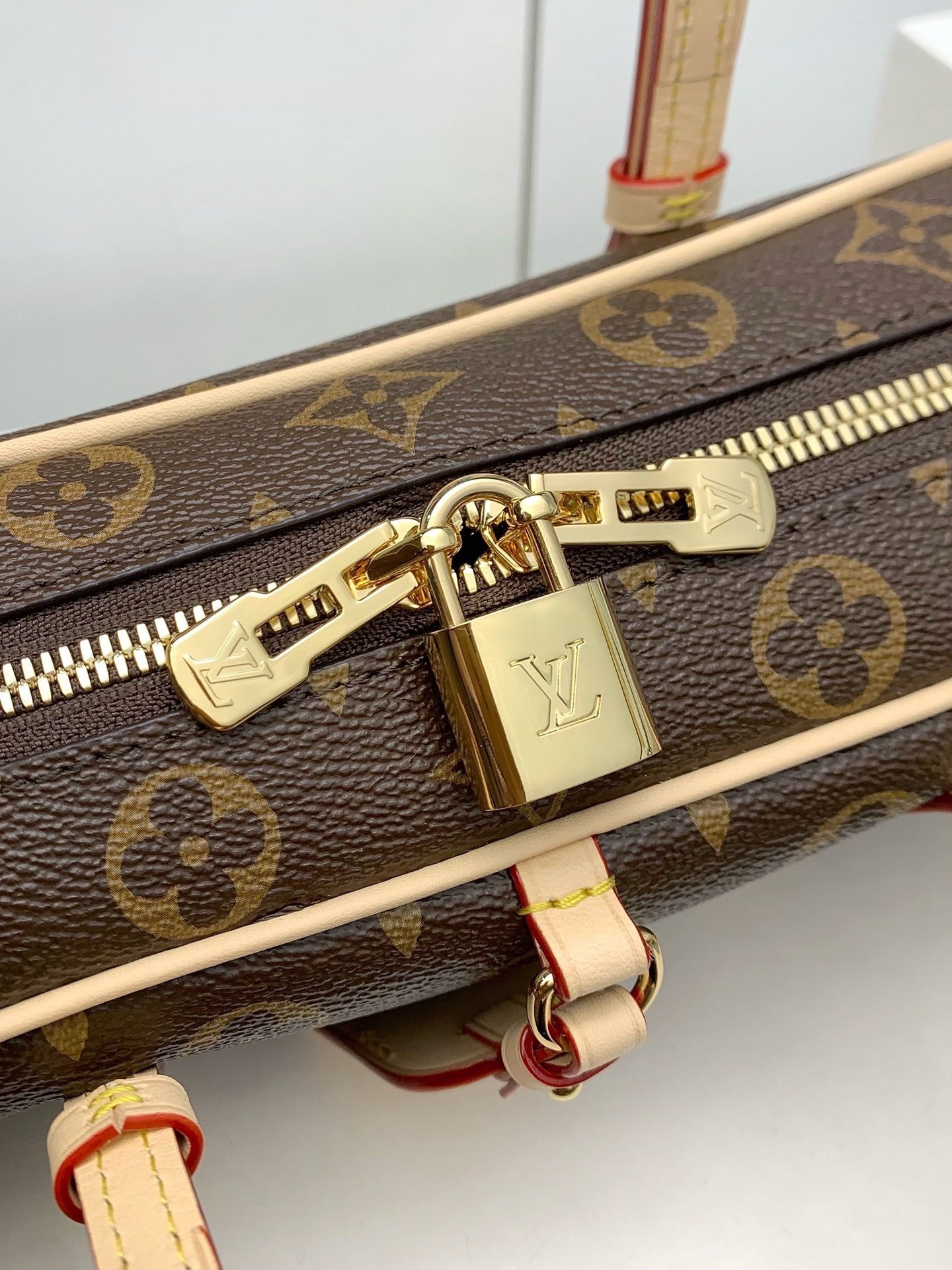 Louis Vuitton Hang on Monogram