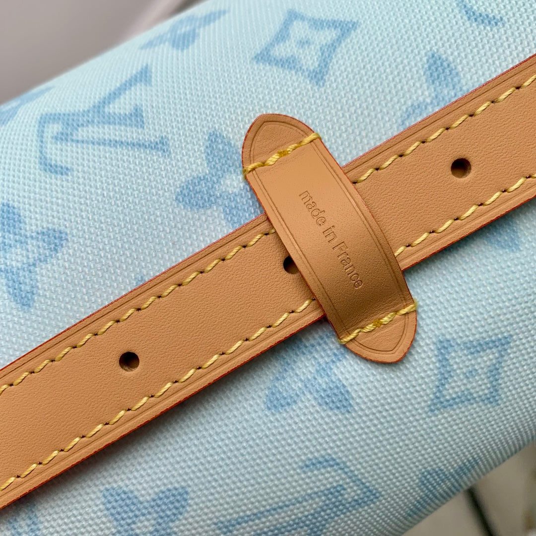 Louis Vuitton CarryAll PM