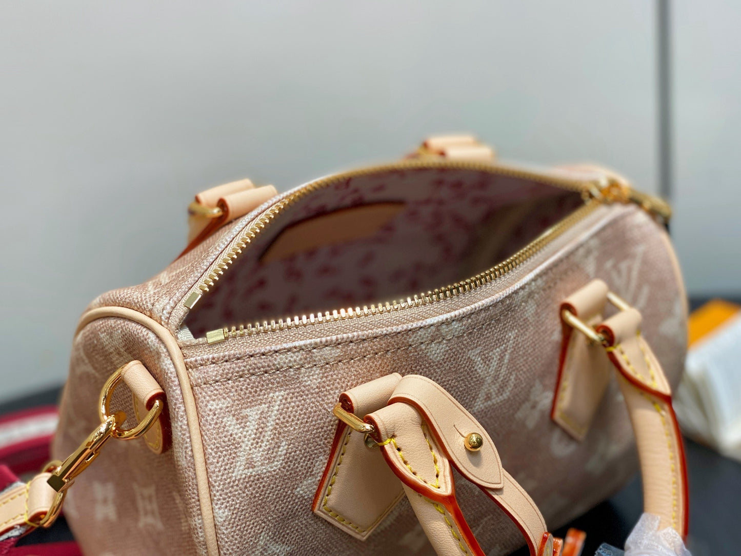 Louis Vuitton SPEEDY BANDOULIÈRE 20