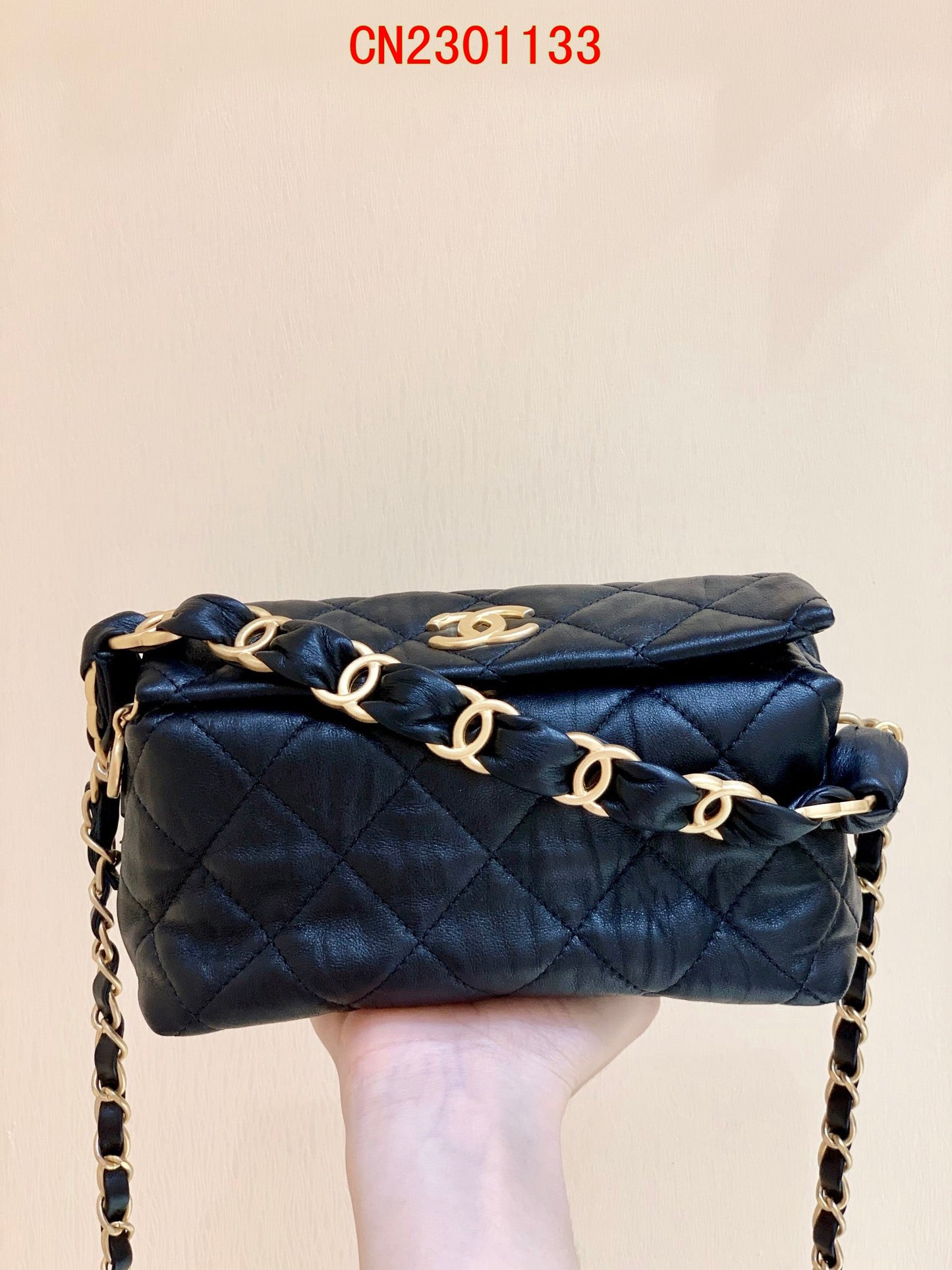 Chanel Small Hobo bag