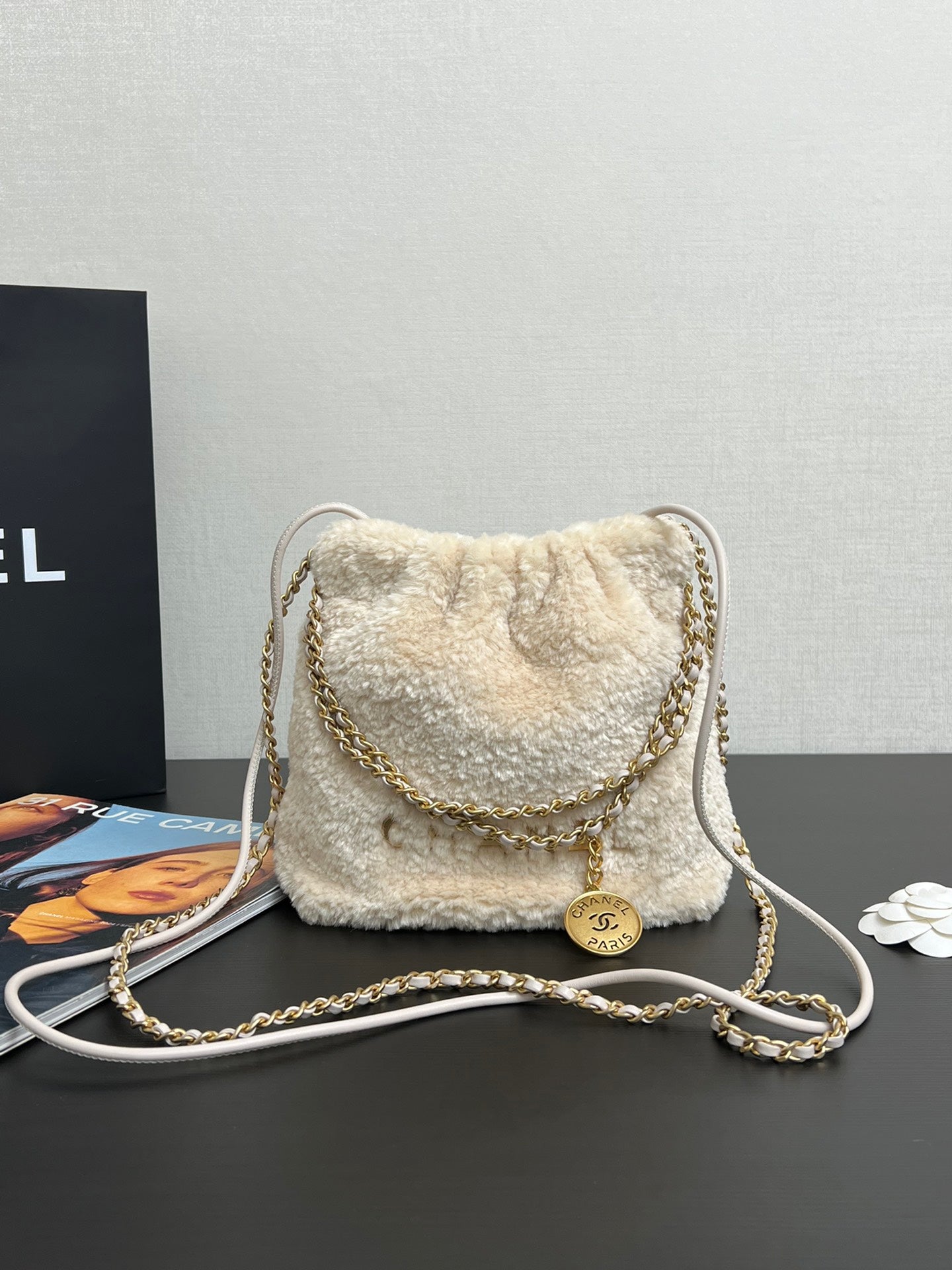 Chanel Teddy 22 bag mini