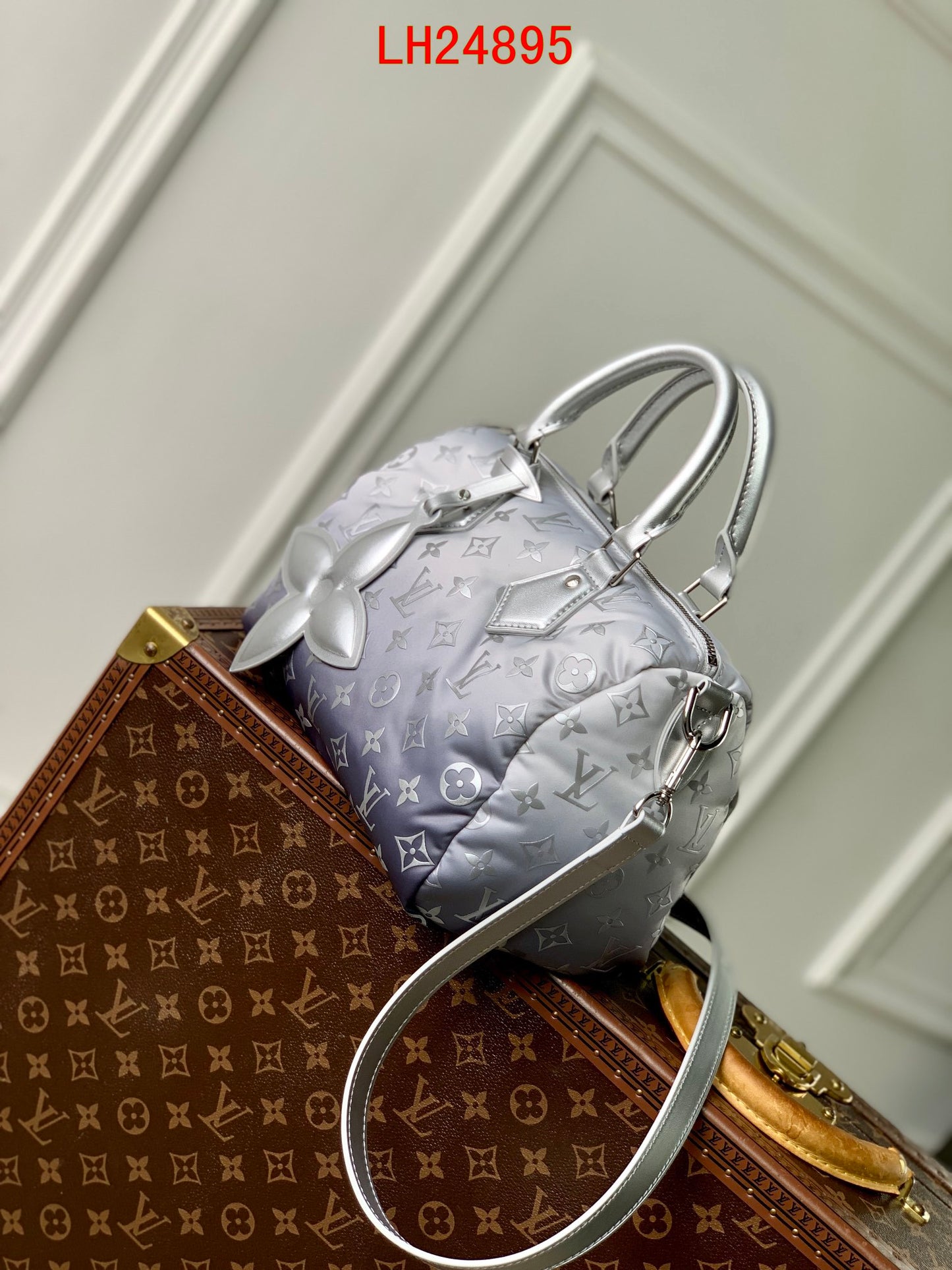 Louis Vuitton Speedy Bandoulière 25 Snow Collection