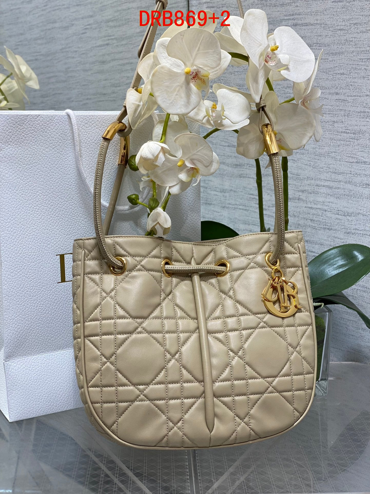 Dior Medium Nolita bag
