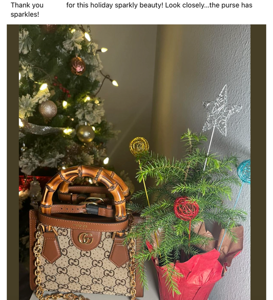 A Review of Gucci Diana Bag